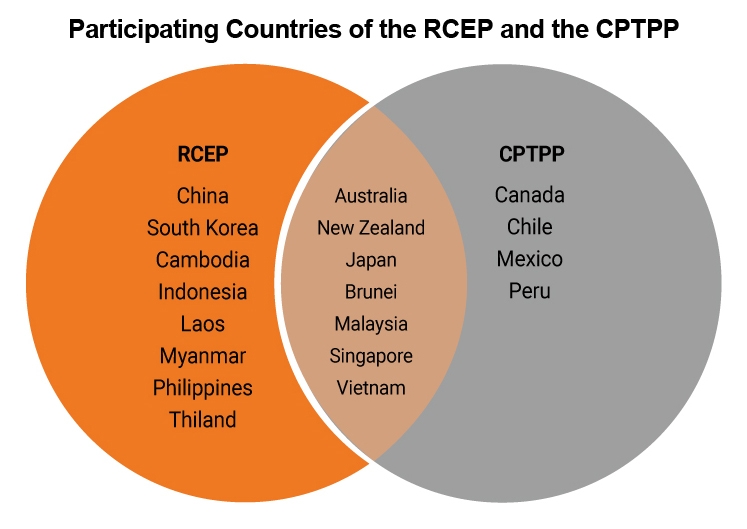 What The Regional Comprehensive Economic Partnership Rcep Means For