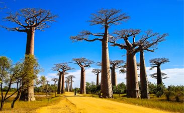 Photo: Madagascar