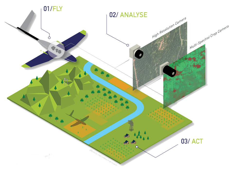 圖片: 視野機械人透過無人機進行地形測繪和作物評估，提升種植林管理效率。