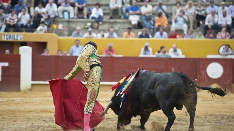 相片：西班牙市場概況