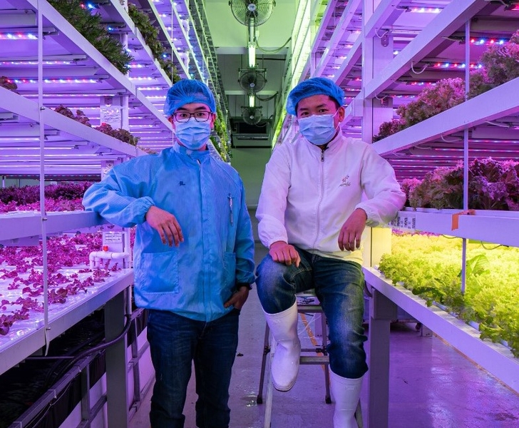 Photo: Farm66 founder Gordon Tam and chief operation officer Billy Lam conduct scientific research and market development
