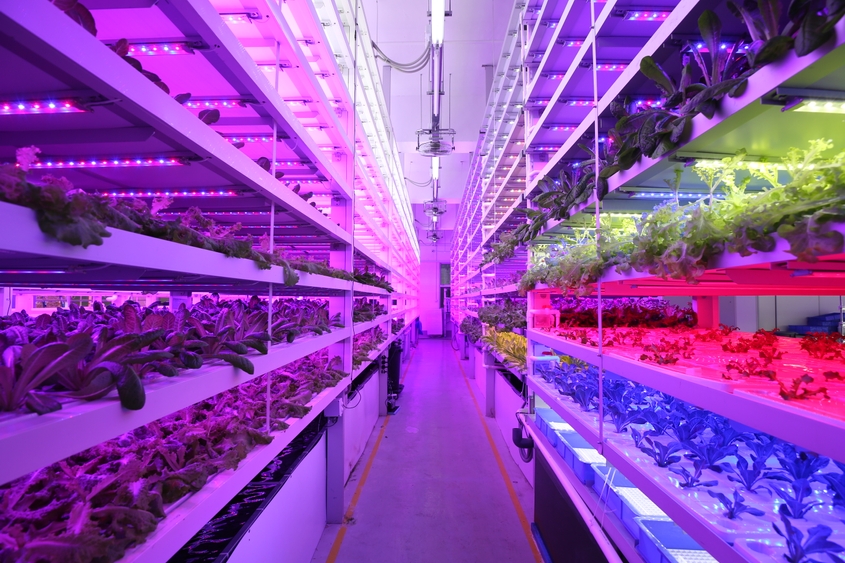 Photo: To overcome land supply shortage in Hong Kong, Farm66 uses a multi-layer vertical farming system to implement symbiotic aquaponics eco-cycle.