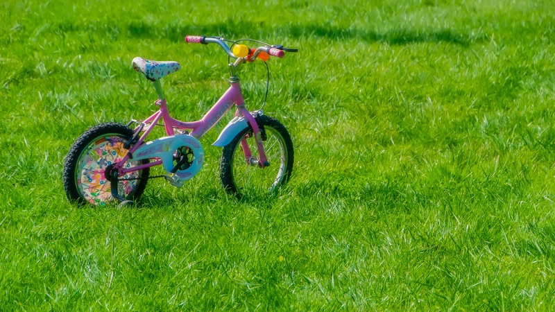 child safety bike seat