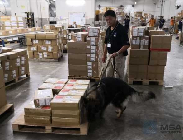 Photo: Detection dogs are one way to enhance security checks on air cargo. The explosive detection dog in the photo is Phea with handler Simon (photo courtesy of MSA Security). 