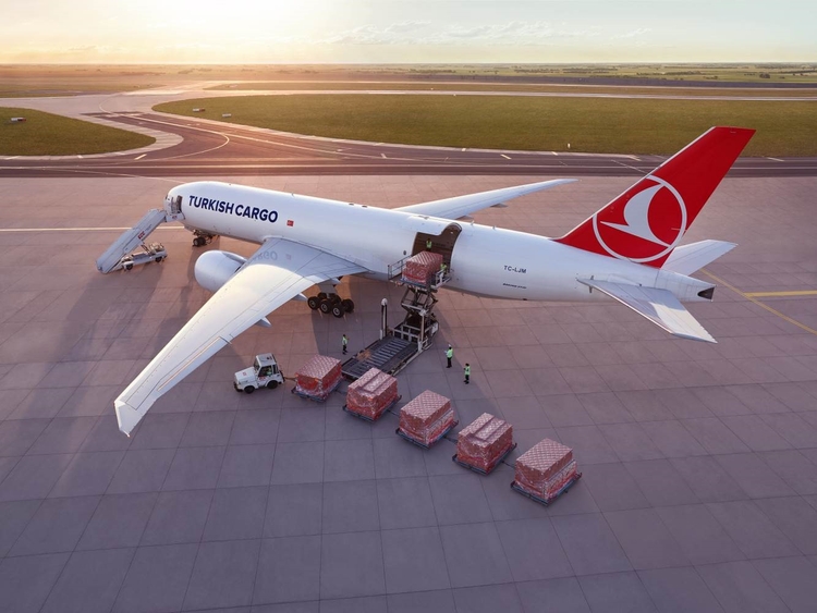 相片: 土耳其货运是全球增长最快的空运品牌。资料来源：土耳其货运