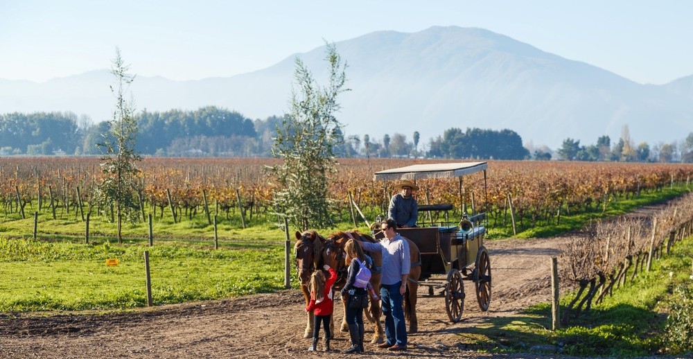 相片: 空加瓜谷(Colchagua Valley)是智利主要葡萄酒产区之一。图片来源：ProChile