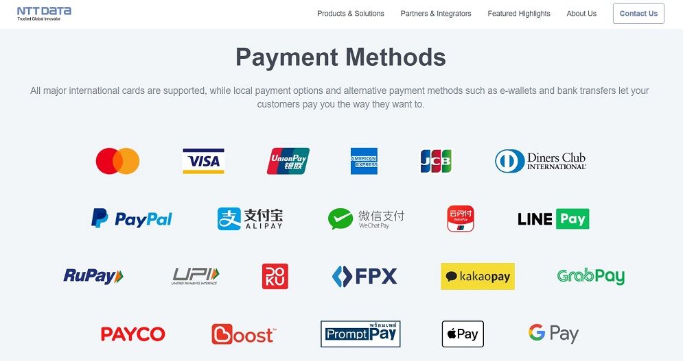 NTT DATA Payment Services India Ltd., Financial service