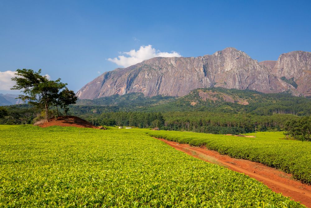 Photo: Malawi